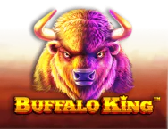 Buffalo King